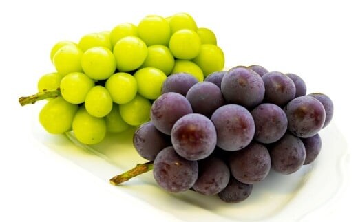 【ご 家庭 用】 シャイン & ピオーネ 1.2キロ 【 2026年9月上旬から10月上旬頃発送予定 】 / 果物 くだもの フルーツ ぶどう ブドウ 葡萄 シャインマスカット 食べ比べ セット 大粒 甘味が強い 甘い 果汁 食べ応え 岡山県 美咲町