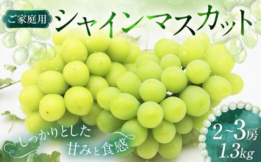 【ご家庭用】 シャインマスカット 2~3房 計約1.3kg 【2026年9月上旬~10月下旬発送予定】 / マスカット 葡萄 ブドウ 種無し 種なし