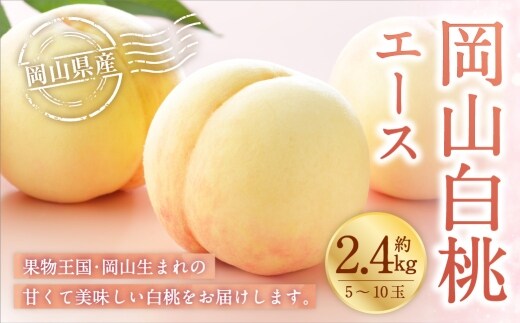 岡山白桃 エース 5~10玉 約2.4kg 岡山県産 白桃 桃 もも モモ くだもの 果物 果実 フルーツ 国産 ギフト 贈り物 【 2026年7月上旬~8月下旬発送予定 】