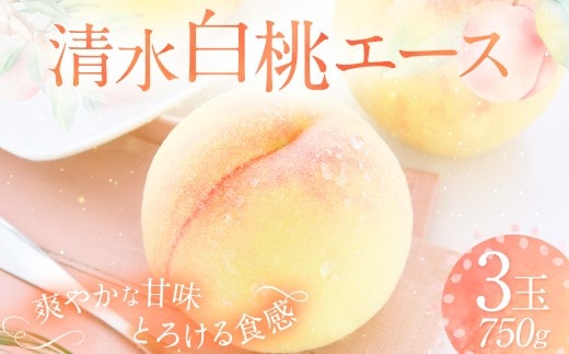 清水白桃 エース 3玉 約750g 【2026年7月上旬~7月下旬発送予定】 / 白桃 桃 もも モモ