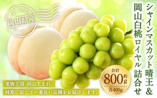 岡山県産 岡山白桃 ロイヤル Lサイズ 約200g×2玉・ シャインマスカット 晴王 約400g×1房 詰合せ 白桃 モモ もも 桃 ぶどう ブドウ 葡萄 マスカット くだもの 果物 果実 フルーツ 国産 家庭用 ギフト 贈り物 贈答 【 2026年7月上旬~8月下旬発送予定 】