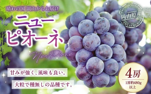 岡山県産 ニューピオーネ 4房 (1房480g以上) 約2kg 【2026年8月下旬-10月上旬迄発送予定】 / 葡萄 ぶどう 果物 果実 フルーツ 種なし 岡山県 美咲町 冷蔵