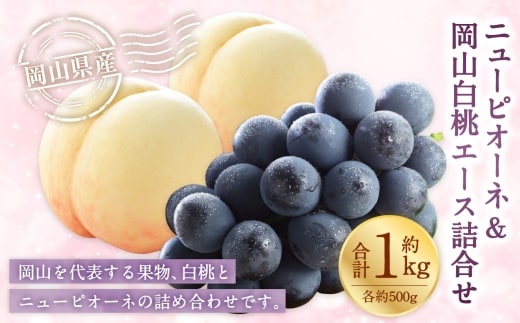 岡山県産 岡山白桃 エース 2Lサイズ 約250g×2玉・ ニューピオーネ 約500g×1房 詰合せ ぶどう ブドウ 葡萄 くだもの 果物 果実 フルーツ 国産 白桃 モモ もも 桃 家庭用 ギフト 贈り物 贈答 【 2026年7月上旬~8月下旬発送予定 】