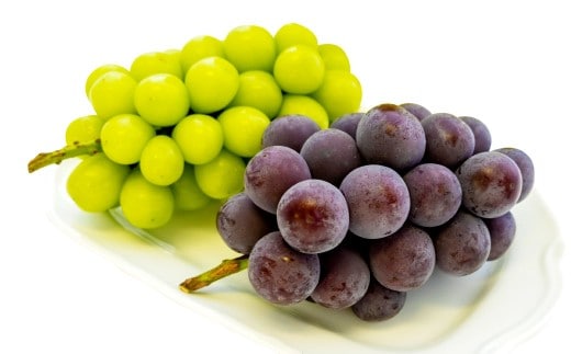 【ご 家庭用 】 シャイン & オーロラ 1.2キロ 【 2026年9月上旬から10月上旬頃発送予定 】 / 果物 くだもの フルーツ ぶどう ブドウ 葡萄 シャインマスカット 食べ比べ セット 大粒 甘味が強い 甘い 果汁 食べ応え 岡山県 美咲町