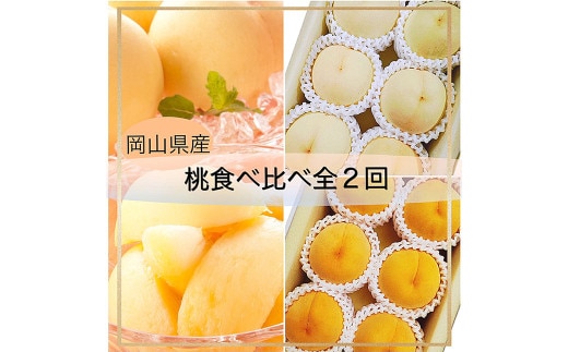 【桃定期便2回】 (白桃 ・ 黄金桃) 【2026年7月上旬より発送開始】 / 桃 もも 果物 果実 フルーツ 旬 食べ比べ 定期便 岡山県 美咲町 冷蔵