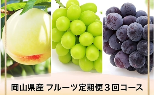 【全3回定期便】 岡山県産 フルーツ定期便 <お一人様向け> 【2026年7月上旬~9月下旬迄発送予定】 白桃 ピオーネ シャインマスカット 瀬戸内 果物 くだもの フルーツ ぶどう もも ブドウ モモ 葡萄 桃 岡山白桃 ニューピオーネ 晴王 化粧箱 贈り物 贈答用 ギフト プレゼント 定期 定期便 果実 定期配送