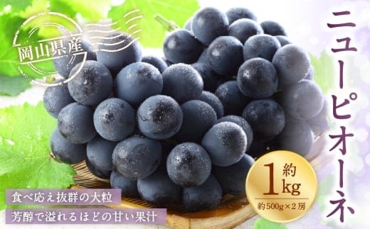 岡山県産 ニューピオーネ 約1kg ( 500g×2房 ) ぶどう ブドウ 葡萄 種なし 種無し くだもの 果物 果実 フルーツ 国産 【 2026年8月下旬~9月下旬発送予定 】