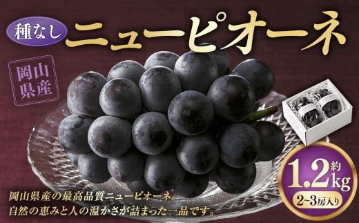 ニューピオーネ 1.2kg (2~3房)【2026年8月下旬-9月下旬発送予定】/ ぶどう 葡萄 果物 果実 フルーツ 種なし 大粒 甘味 岡山県 美咲町 冷蔵