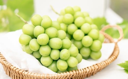 シャインマスカット 2房 (1kg以上) 【2026年8月下旬から10月上旬頃発送予定】 / くだもの 果物 果実 フルーツ ぶどう ブドウ 葡萄 マスカット 冷蔵 岡山県 美咲町