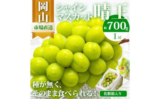 岡山県産 シャインマスカット『晴王』1房 (700g以上) 化粧箱入り 【2026年8月下旬-10月上旬迄発送予定】/ マスカット 葡萄 ぶどう 果物 果実 フルーツ 岡山県 美咲町 冷蔵