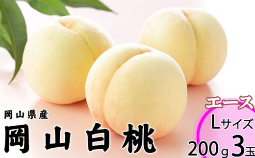 岡山白桃 エース 3玉 × 約200g 計約600g 岡山県産 (早生種・中生種) 【2026年7月上旬~8月下旬迄発送予定】 / 白桃 桃 もも 果物 果実 フルーツ 岡山県 美咲町 冷蔵