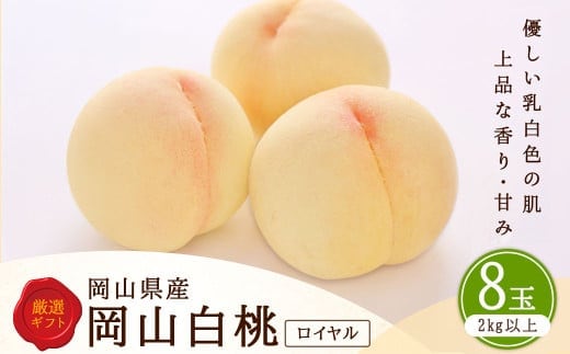 白桃 8玉 (2kg以上) 等級 : ロイヤル 化粧箱入り 【2026年7月上旬~8月上旬迄発送予定】 / 桃 もも モモ はくとう 果物 くだもの フルーツ 果実 デザート 冷蔵