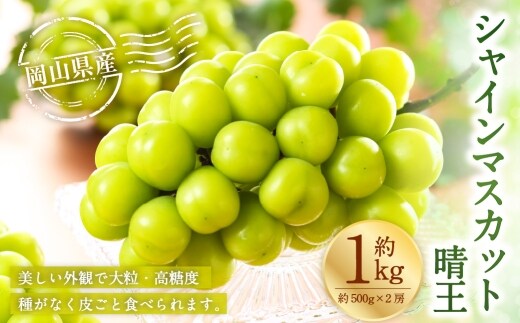 岡山県産 シャインマスカット 晴王 約1kg ( 約500g×2房 ) ぶどう ブドウ 葡萄 くだもの 果物 果実 フルーツ 国産 マスカット 【 2026年7月上旬~8月下旬発送予定 】