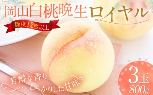 岡山白桃 晩生 ロイヤル 3玉 約800g 【2026年8月下旬発送予定】 / 白桃 桃 もも モモ