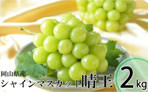 シャインマスカット 晴王 3~6房 計約2kg 【2026年8月下旬~11月下旬迄発送】 / マスカット 葡萄 ぶどう 果物 果実 フルーツ 種なし 皮ごと 大粒 岡山県 美咲町 冷蔵