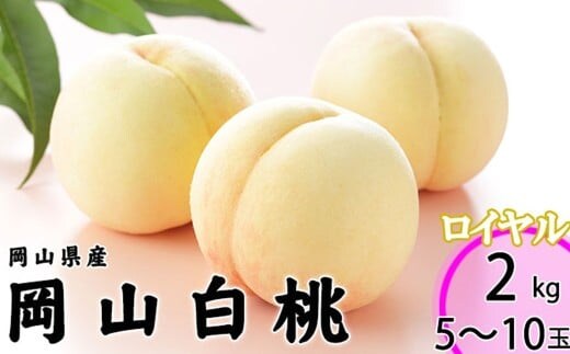 岡山白桃 ロイヤル 5~10玉 約2kg 岡山県産 (早生種・中生種) 【2026年7月上旬~8月下旬迄発送予定】 / 白桃 桃 もも 果物 果実 フルーツ 岡山県 美咲町 冷蔵