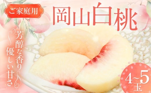 【ご家庭用】 岡山白桃 4~5玉 計約1.2kg 【2026年6月下旬~7月下旬発送予定】 / 白桃 桃 もも モモ