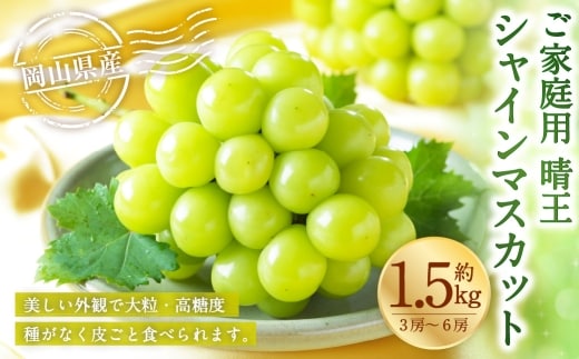 ご家庭用 岡山県産 シャインマスカット 晴王 約1.5kg ( 3房~6房 ) ぶどう ブドウ 葡萄 マスカット 果物 くだもの フルーツ 国産 【 2026年8月下旬~11月下旬発送予定 】