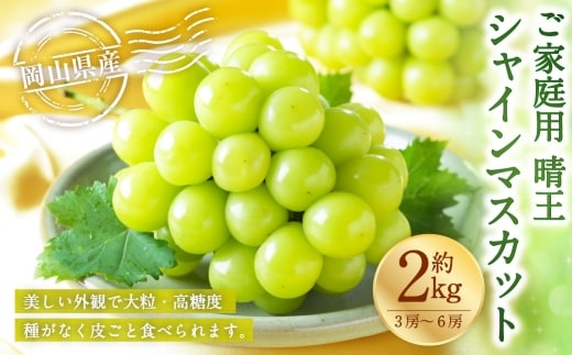 ご家庭用 岡山県産 シャインマスカット 晴王 約2kg ( 3房~6房 ) ぶどう ブドウ 葡萄 マスカット 果物 くだもの フルーツ 国産 【 2026年8月下旬~11月下旬発送予定 】