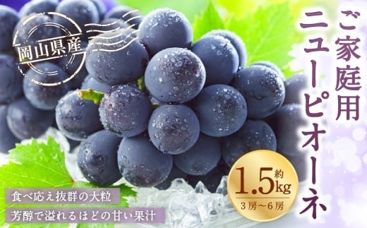 ご家庭用 岡山県産 ニューピオーネ 約1.5kg ( 3房~6房 ) ぶどう ブドウ 葡萄 くだもの 果物 果実 フルーツ 国産 【 2026年8月下旬~9月下旬発送予定 】