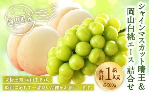 岡山県産 岡山白桃 エース 2Lサイズ 約250g×2玉・ シャインマスカット 晴王 約500g×1房 詰合せ 白桃 モモ もも 桃 ぶどう ブドウ 葡萄 マスカット くだもの 果物 果実 フルーツ 国産 家庭用 ギフト 贈り物 贈答 【 2026年7月上旬~8月下旬発送予定 】