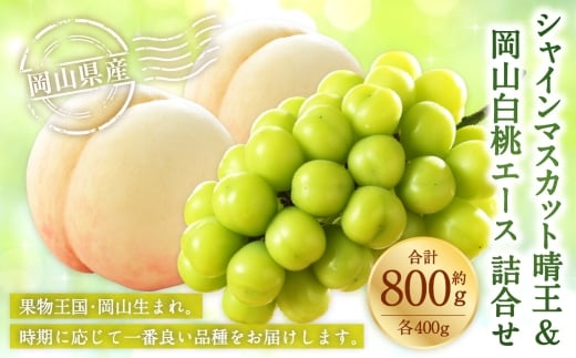 岡山県産 岡山白桃 エース Lサイズ 約200g×2玉・ シャインマスカット 晴王 約400g×1房 詰合せ 白桃 モモ もも 桃 ぶどう ブドウ 葡萄 マスカット くだもの 果物 果実 フルーツ 国産 家庭用 ギフト 贈り物 贈答 【 2026年7月上旬~8月下旬発送予定 】