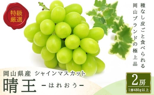 シャインマスカット 晴王 2房 (1房480g以上) 化粧箱入り 【2026年8月下旬~11月上旬迄発送予定】/ マスカット 葡萄 ぶどう 果物 果実 フルーツ 種なし 皮ごと 大粒 岡山県 美咲町 冷蔵