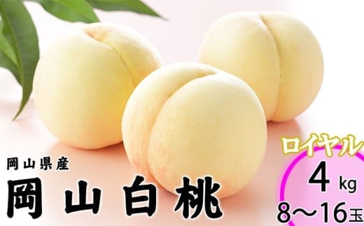 岡山白桃 ロイヤル 8~16玉 約4kg 岡山県産 (早生種・中生種) 【2026年7月上旬~8月下旬迄発送予定】 / 白桃 桃 もも 果物 果実 フルーツ 岡山県 美咲町 冷蔵