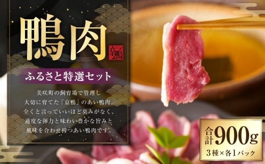 『京鴨』鴨肉 ふるさと 特選 セット(3パック(合計約900g))/ 3種 詰め合わせ むね ロース モモ はつ 鴨 カモ 【配達不可:離島】