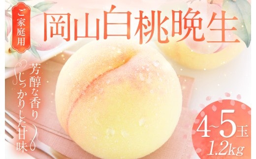 【ご家庭用】 岡山白桃 晩生 4~5玉 計約1.2kg 【2026年8月下旬発送予定】 / 白桃 桃 もも モモ