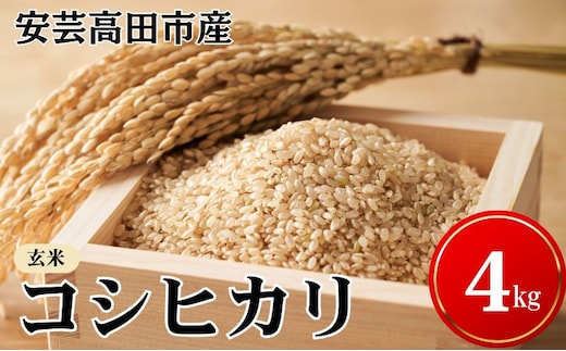 米 令和7年産 安芸高田市産コシヒカリ『玄米』 4kg お米 