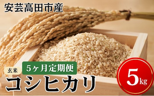 米 【5ヶ月お届け】令和7年産 安芸高田市産コシヒカリ『玄米』5kg お米 定期便 