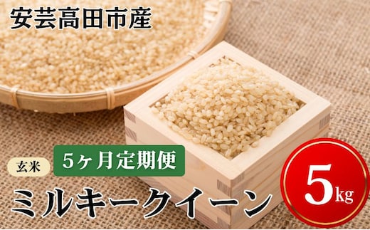 米 【5ヶ月お届け】令和7年産 安芸高田市産ミルキークイーン『玄米』5kg お米 定期便 