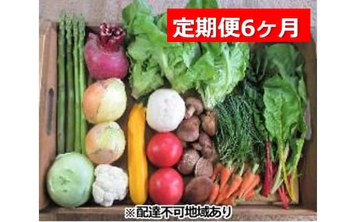 旬の野菜・定期便（6か月）【配達不可：北海道・沖縄・離島】 セット 詰合せ 6ヶ月 6回 