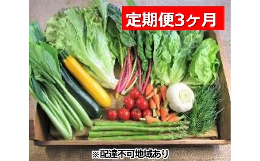 旬の野菜・定期便（3か月）【配達不可：北海道・沖縄・離島】 セット 詰合せ 3カ月 3回 