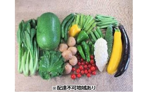 旬の野菜【L】セット【配達不可：北海道・沖縄・離島】 詰合せ 