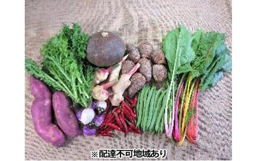 旬の野菜【M】セット【配達不可：北海道・沖縄・離島】 詰合せ 