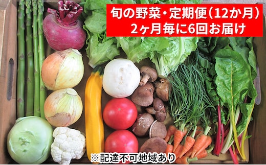 【2ヶ月毎に6回お届け】 旬の野菜・定期便（12か月） セット 詰め合わせ 季節 季節の野菜 有機質 肥料 農薬 減農薬 不使用 和野菜 西洋野菜 山菜 果物 冷蔵便 鮮度 お楽しみ 