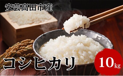 米 令和7年産 広島県安芸高田市産コシヒカリ10kg（5kg×2袋） 精米／コシヒカリ こめ こしひかり 