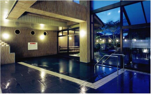 天然ラドン温泉『岩戸屋』入湯ご招待券 11枚 セット イベントやチケット等／入場券 温泉チケット おんせん 入浴 