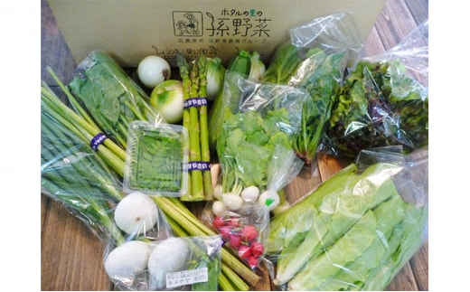 安芸高田市の小さな農家お届けするふるさと旬野菜セット 野菜類 詰合せ やさい 