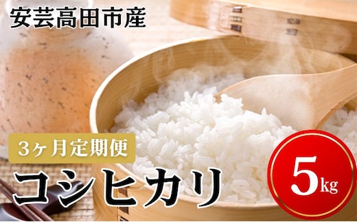 米 【3ヶ月お届け】令和7年産 安芸高田市産コシヒカリ5kg 精米／コシヒカリ こめ こしひかり 定期便 