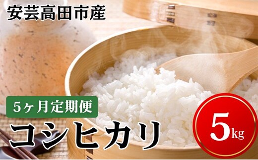 米 【5ヶ月お届け】令和7年産 安芸高田市産コシヒカリ5kg 精米／コシヒカリ こめ こしひかり 定期便 