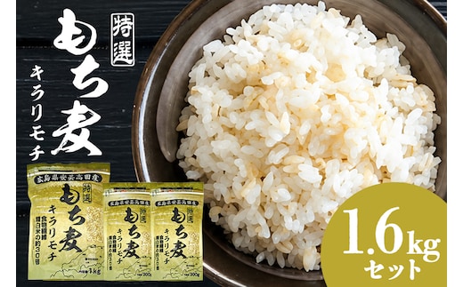 広島県安芸高田産特選もち麦キラリモチ1.6kgセット もち麦 国産 キラリモチ 特選 1.6kg セット 安心 安全 炊飯 食物繊維 大粒 栄養価 ぷりぷり 大麦 米 もち麦ごはん ゆでもち麦 広島 安芸高田 A26-001