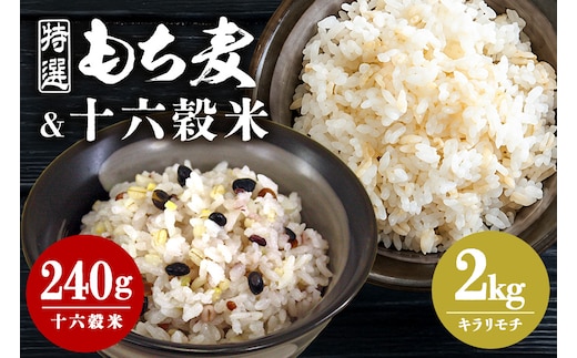 もち麦 国産 キラリモチ 特選もち麦 2kg + 十六穀米 国産 240g セット 広島県安芸高田産 安心 安全 炊飯 食物繊維 大粒 栄養価 ぷりぷり 大麦 米 雑穀 もち麦ごはん ゆでもち麦 広島 安芸高田 A26-006
