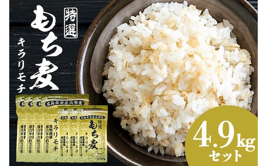 もち麦 国産 キラリモチ 特選もち麦 4.9kg セット 広島県安芸高田産 安心 安全 炊飯 食物繊維 大粒 栄養価 ぷりぷり 大麦 米 もち麦ごはん ゆでもち麦 広島 安芸高田 A26-007