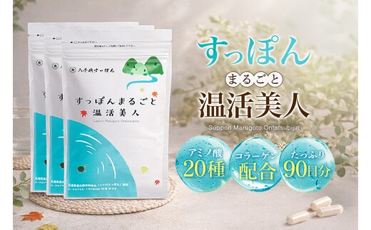 すっぽんまるごと温活美人（3セット） 健康食品 加工食品 すっぽん スッポン 美容 A35-002