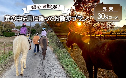 初心者歓迎 森の中を馬に乗ってお散歩プラン(30分) 外乗 体験 広島 安芸高田市 エオの谷