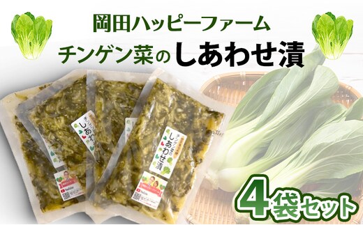 チンゲン菜のしあわせ漬け 100g×4個セット チンゲン菜 チンゲンサイ 漬物 副菜 醤油漬け ご飯のお供 広島 安芸高田市