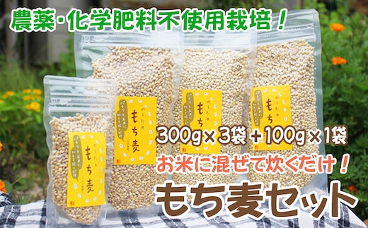 国産もち麦300g 3袋 ＆ 100g 1袋 d10-22
